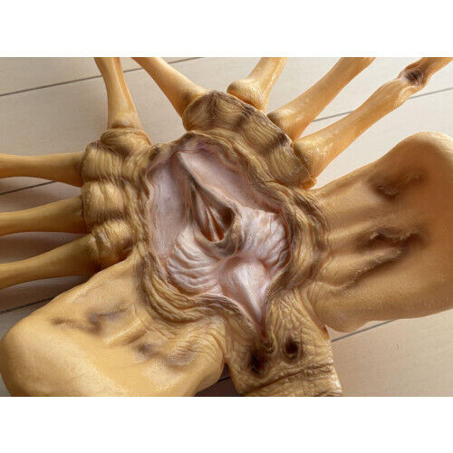 ALIEN/Facehugger/Figure/Alien/Full-size/Soft Vinyl/Aoshima/Boxed - Picture 8 of 14