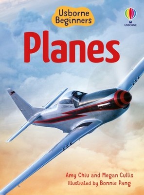 BEGINNERS PLANES by BONE, EMILY Hardback Self Help Business