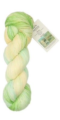 KnitPro Symfonie Merino & Polyamide Sock Yarn| Terra Variegated Wisconsin