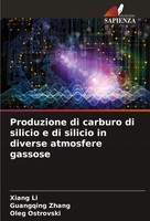 Xiang Li (U. A.) | Produzione Di Carburo Di Silicio E Di Silicio In Diverse...