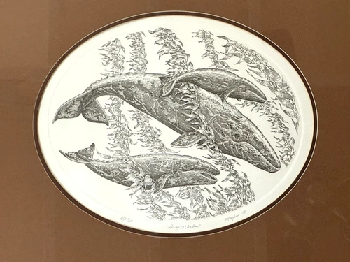 Artist Proof Etching signed #4/18 JD Mayhew "Gray Whales"  framed matted - Picture 1 of 8