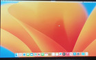Apple MacBook Pro 13" A2159 2019 i5 8GB RAM 128GB Works but with faults