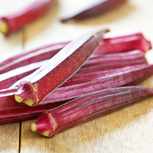 Red Burgundy Okra Seeds 50 Ct Vegetable Garden NON-GMO USA SELLER FREE SHIPPING - Picture 1 of 1