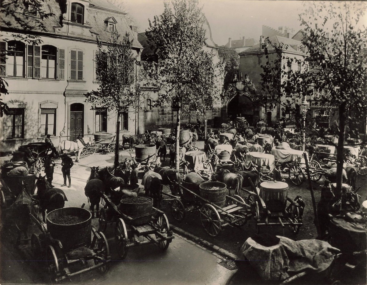Grape Harvest Town Wine Industry 1910s Press Photo Rheingau