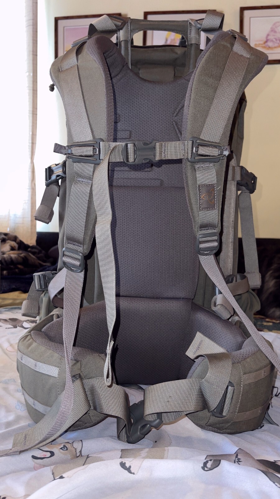 Mystery Ranch Pintler Hunting Pack on MT Guidelight Frame in Foliage Flawless eBay