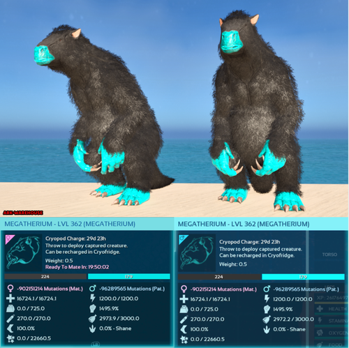Top Stat Megatherium Mating Pair - Sloth - Ark Survival Ascended Crossplay PVE - Picture 6 of 7