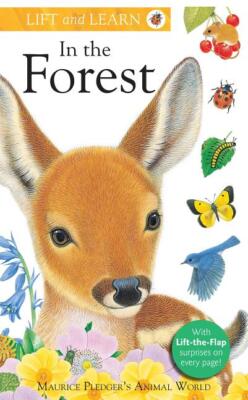 Lift & Learn: Lift and Learn: In the Forest (Board book)