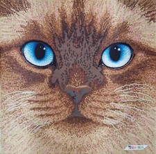 Cat Bead Embroidery Scheme on Canvas DIY Stamped Printed Pattern ta-154