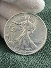 1993 U.S. Mint American Silver Eagle 1 oz 0.999 Silver Bullion Coin