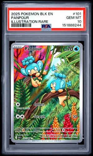 2025 Pokemon BLK EN-Black Bolt Panpour #101 Illustration Rare PSA 10