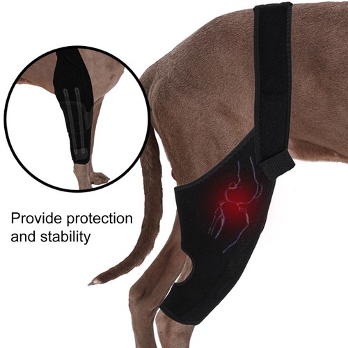 Rodillera para patas traseras ajustable para perros resistente al desgaste ultraligero - Imagen 4 de 12
