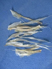 10 real deer back sinew damaged  native thread bow backing sewing for beading X4