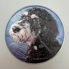 Personalized Custom YOUR Dog / Pet on a Silver Eagle Pure .999 Silver Coin