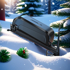 36V 48V 52V 15Ah 20Ah 24Ah Hailong Christmas gift lithium ion Battery