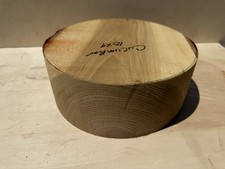 1 Pc. Premium Cucumber magnolia 10x4  Perfect For Beginners