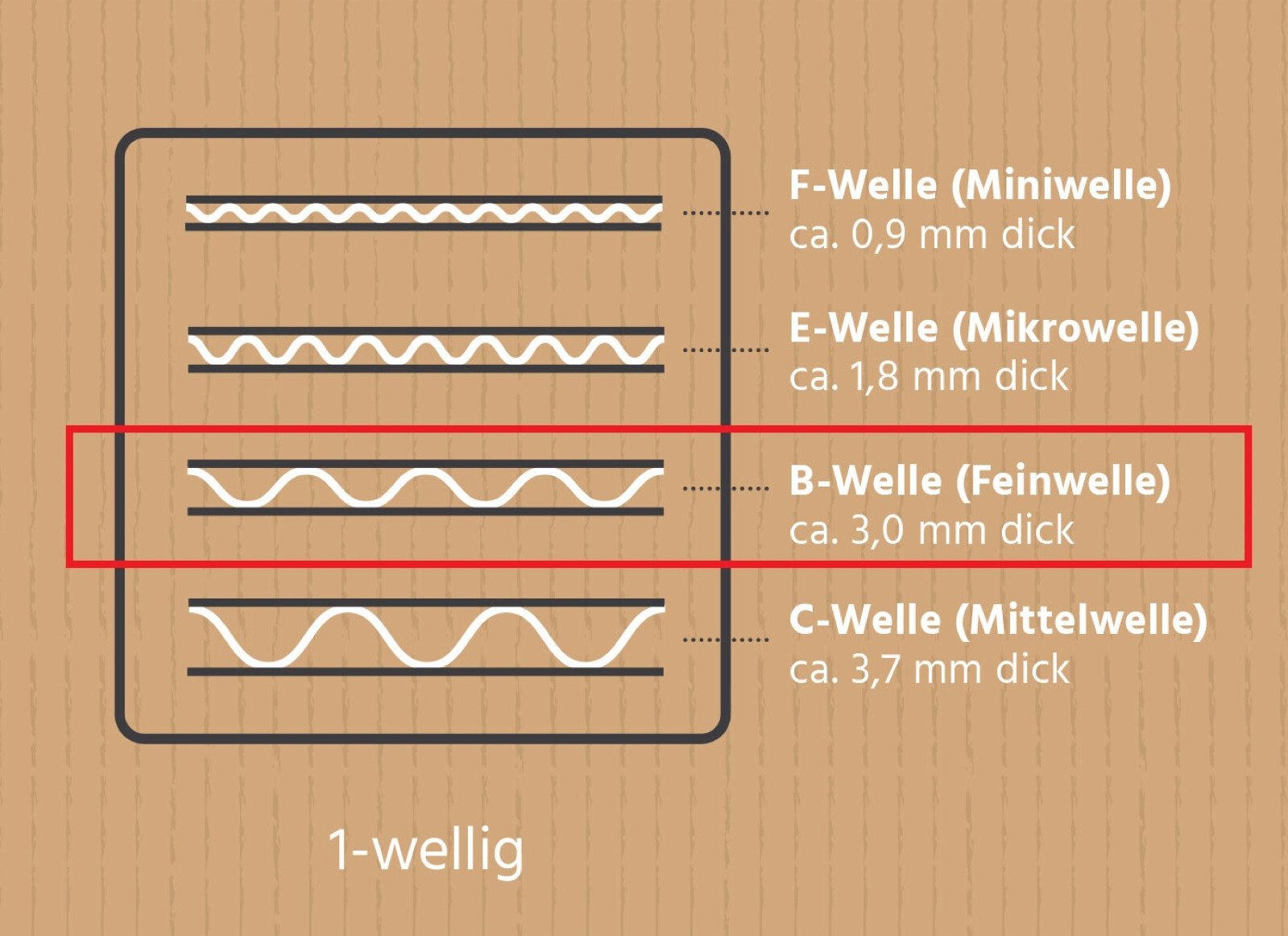 Bild 6 von 6