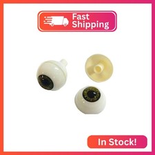Pair of Realistic Acrylic Full Round Life Siz...