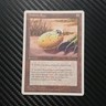 Wizards Triassic Egg Chronicles Rare Artifact Dan Frazier Magic The Gathering