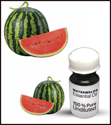 Watermelon Essential Oil 100% Pure Undiluted Premium Quality