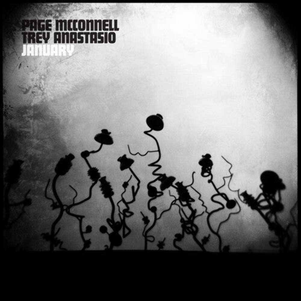 Пейдж Макконнелл и Трей Анастасио - НОВЫЙ винил в январе