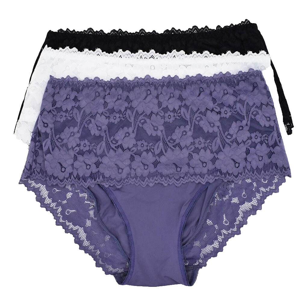 Nylon Floral Plus Brief Panties for Women