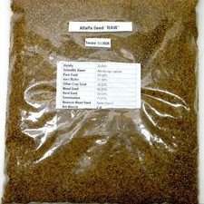 NEW Jan 2026 SEED 2 POUNDS "RAW" ALFALFA Wildlife Deer FOOD PLOT SEED - 2 Lbs.