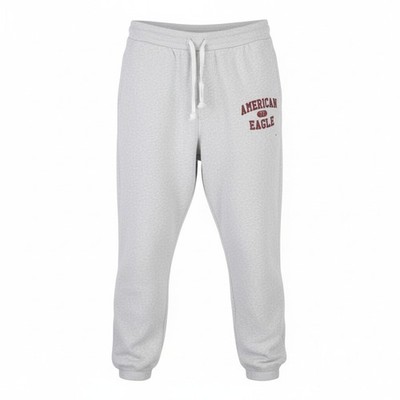American Eagle Outfitters Herren Jogginghosen L Grau Melange Kordelzug