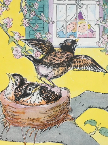 Marjorie Flack The Restless Robin Early Printing - Picture 8 of 10