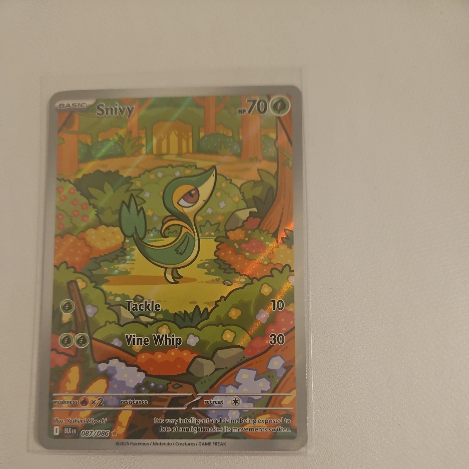 Snivy 87/86 Pokemon TCG Black Bolt NM
