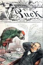 David Hill 1886 POLITICAL POLL PARROT Public Trust ECHO GROVER CLEVELAND Puck