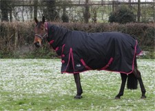 Heavyweight Horse Turnout Horse Rug 350g Combo Neck Black Waterproof Winter Rug