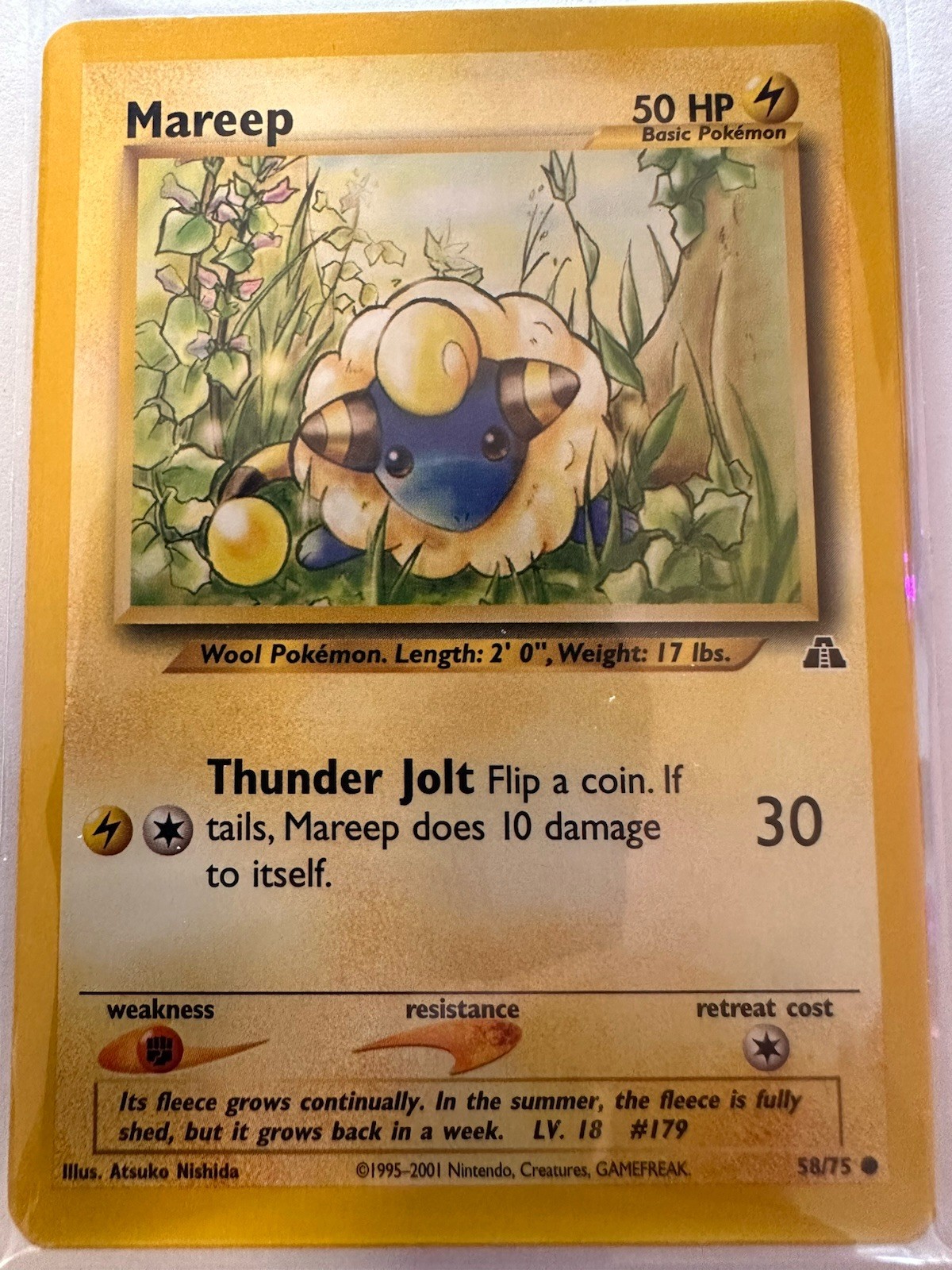 Mareep 58/75 Neo Discovery Regular