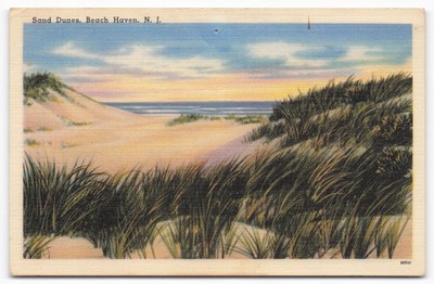 1954 Beach Haven NJ Sand Dunes Linen Postcard Long Beach Island Whaling Stamp