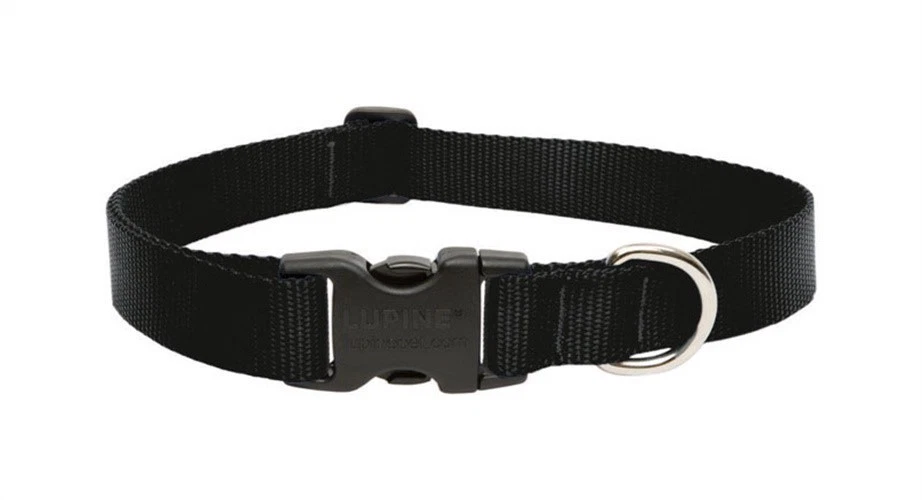 Lupine Pet Basic Solids Black Black Nylon Dog Adjustable Collar (Pack of 3)
