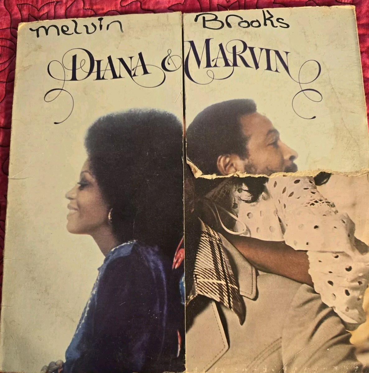 Diana & Marvin LPレコード