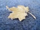 MAPLE LEAF PENDANT, sterling silver, mounted coral, approx 1-5/8" tall — photo 3
