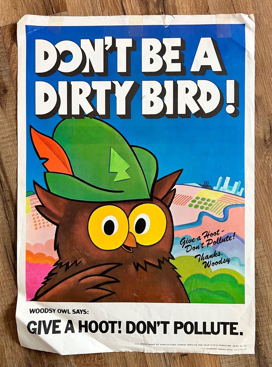 Vintage 1974 Woodsy Owl “Don't Be a Dirty Bird” Poster 18x13 USDA