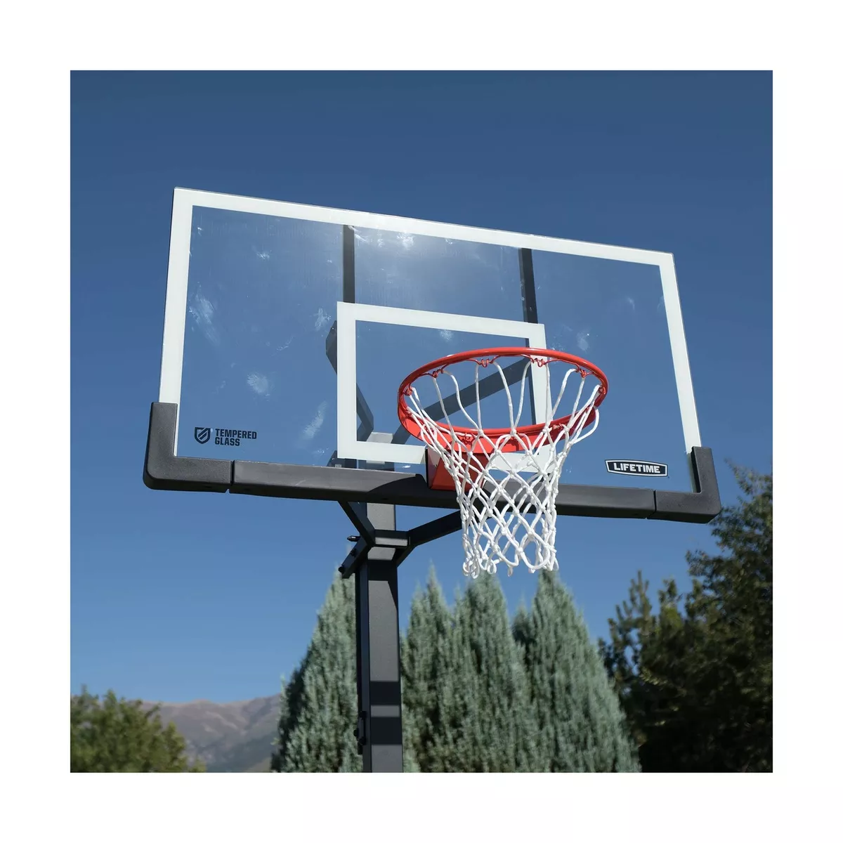 Lifetime Crank Adjust Bolt Down Basketball Hoop (54-Inch Tempered