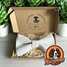 Handmade Dog Bow Tie With Collar Attachment Stripe Medium