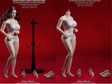 TBLeague S38 S38A 1/6 female XL bust Plump Fat body figure 12" doll Seamless