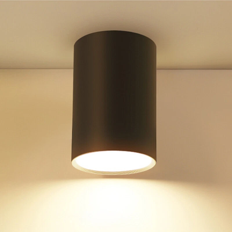 Ceiling on sale light cylinder