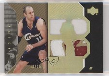 2006-07 Upper Deck UD Black Patch Gold 3/25 Zydrunas Ilgauskas #P-ZI Patch 2h4