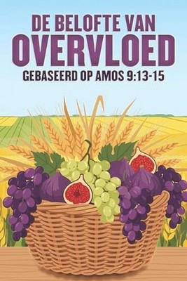 De belofte van overvloed: Gebaseerd op Amos 9:13-15 by Sherry Lee (Dutch) Paperb