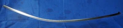 New OEM! 2016-2020 Nissan Rogue Front Driver Left Door Molding Strim Chrome