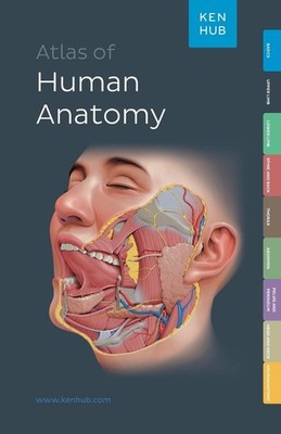 Kenhub Atlas of Human Anatomy by Mike Kenhub Paperback Book