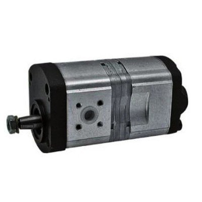 X403 Tandem Hydraulic Gear Pump for Case Tractor