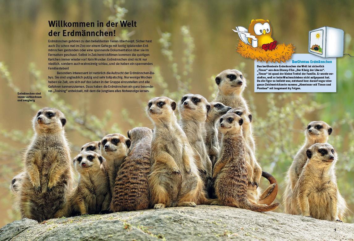Thumbnail - Entdecke Die Erdmännchen Christian Ehrlich Buch 56 S. Deutsch 2016