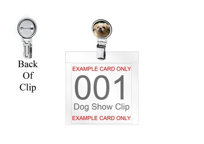 Brüssel Griffon Codezz20 KUPPEL auf einem Hund Show Ringclip und Nummer Kartenhalter
