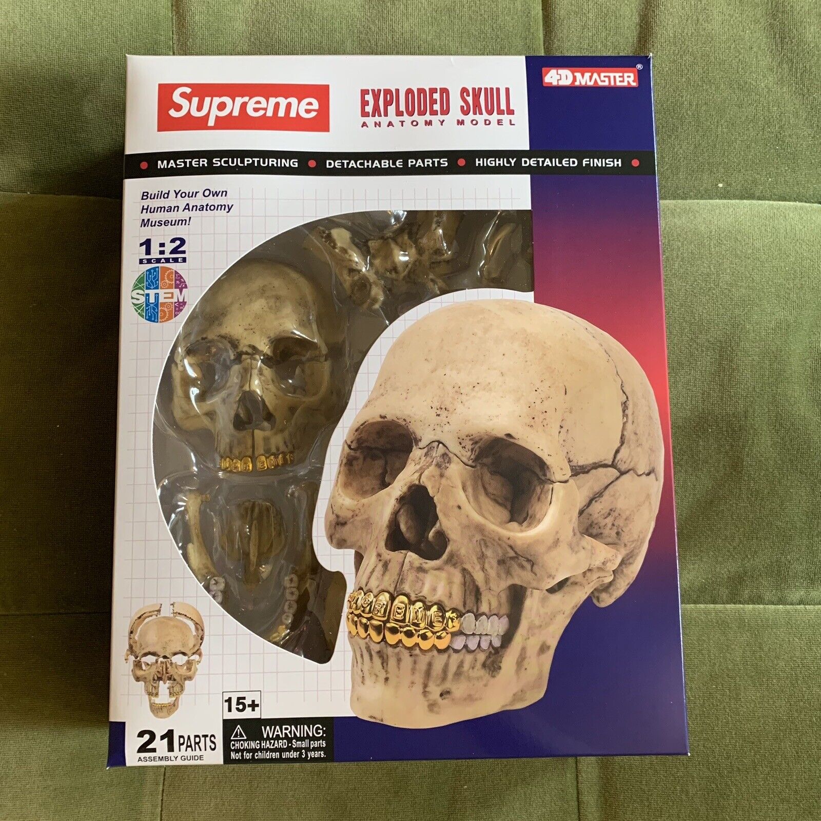 Supreme 4D Model Human Skull With Gold Grill FW23 Exploded Skull Ships Next Day