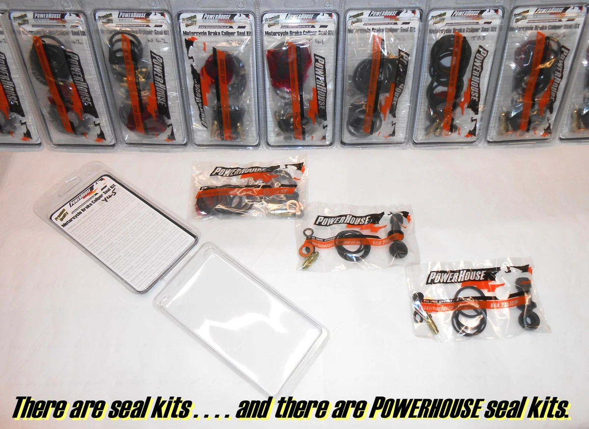 Ducati Streetfighter 848 front brake caliper seal repair rebuild 